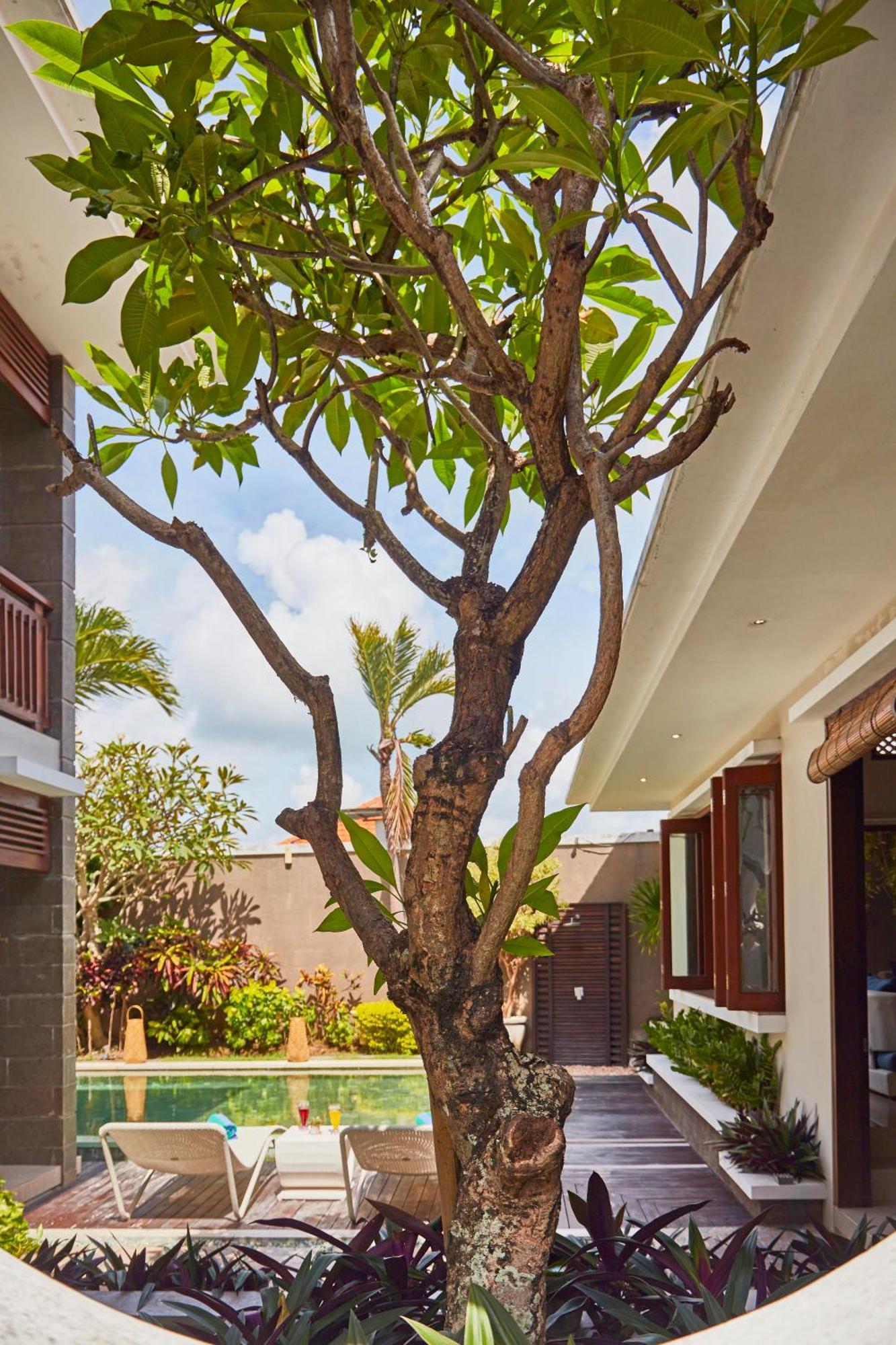 Dreamscape Bali Villas Canggu Zewnętrze zdjęcie
